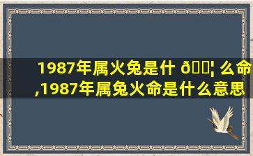 1987年属火兔是什 🐦 么命,1987年属兔火命是什么意思